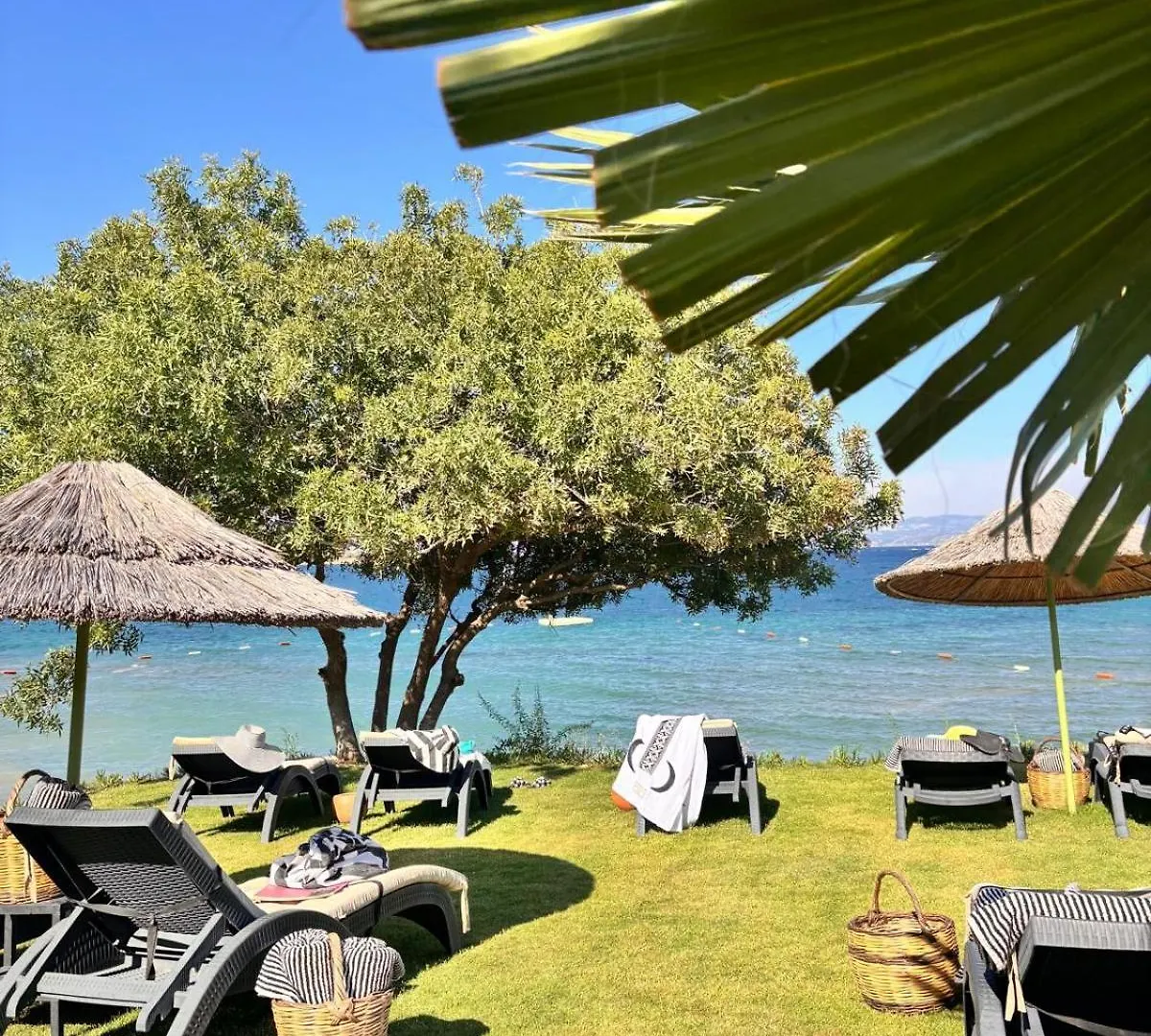 Sato Design Hotel (Adults Only) Cesme 2*,  Turkey