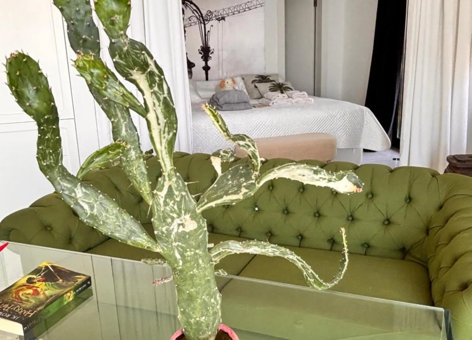 Sato Design Hotel (Adults Only) Cesme Turkey