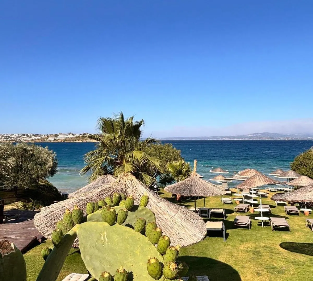 Sato Design Hotel (Adults Only) Cesme